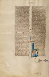 Iniziale H - San Girolamo